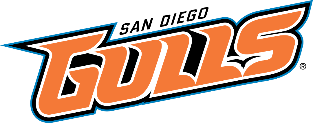 San Diego Gulls 2015-Pres Wordmark Logo iron on heat transfer...